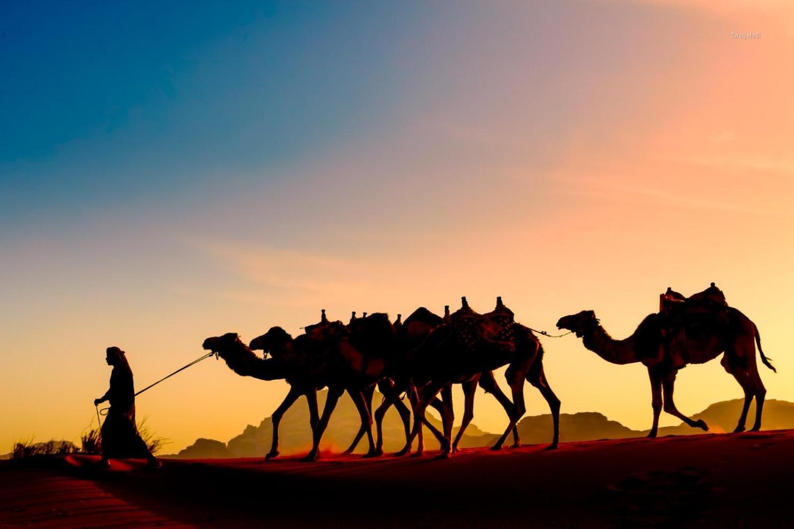Scarlet Luxury Camp Wadi Rum Zewnętrze zdjęcie