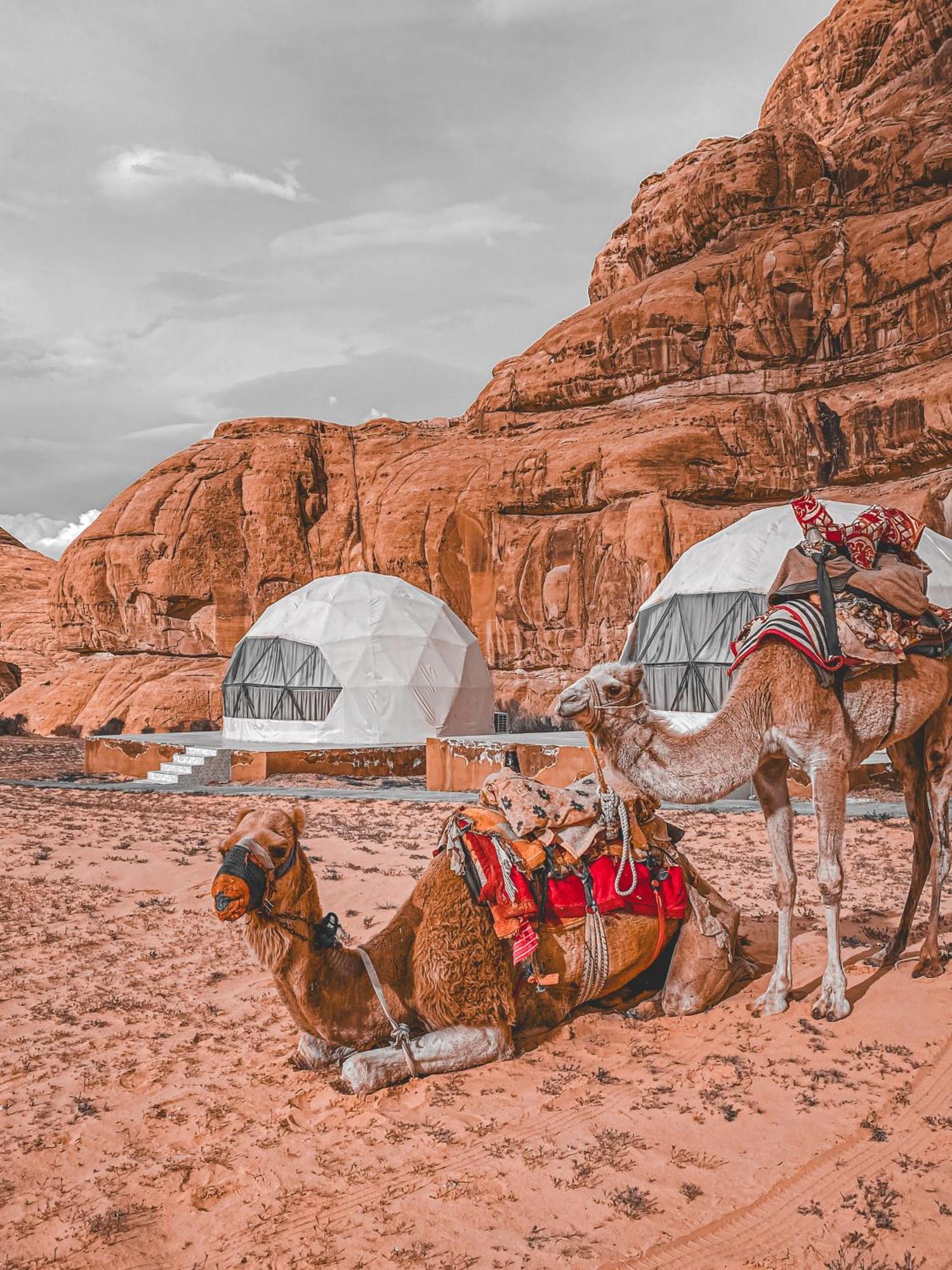 Scarlet Luxury Camp Wadi Rum Zewnętrze zdjęcie